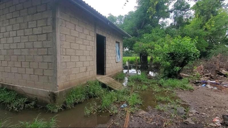 Cuando las aguas de la llena descienden, quedan charcos de agua en las calles y alrededores de las casas. 
 / 