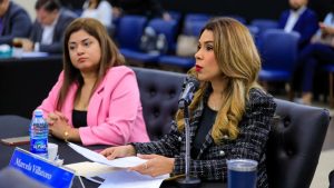 diputada-marcela-guadalupe-villatoro