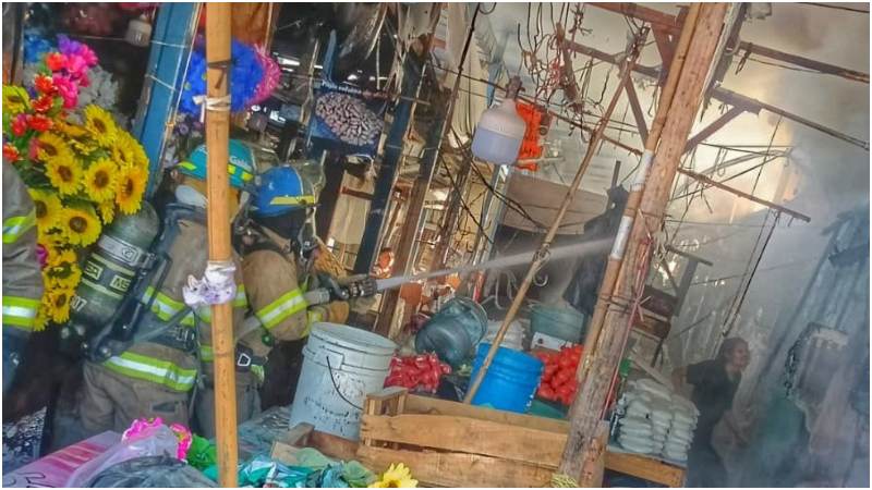 Bomberos lograron contralar el avance del fuego. Foto / Cortesía 