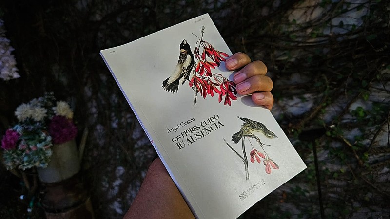 Libro de poesía Ángel Castro