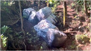 La marihuana fue entregada a la Policía para el procedimiento correspondiente. Foto / Cortesía Fuerza Armada.