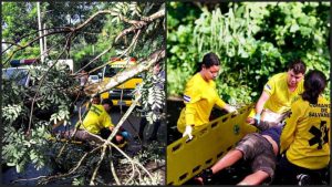 Socorristas asisten a los lesionados. Foto: Comandos de Salvamento