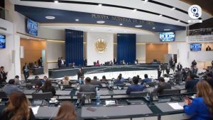 Asamblea Plenaria