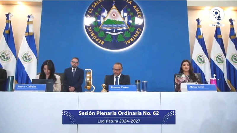 Asamblea plenaria 62