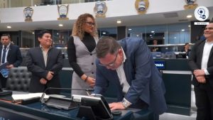 Plenaria reforma constitucional