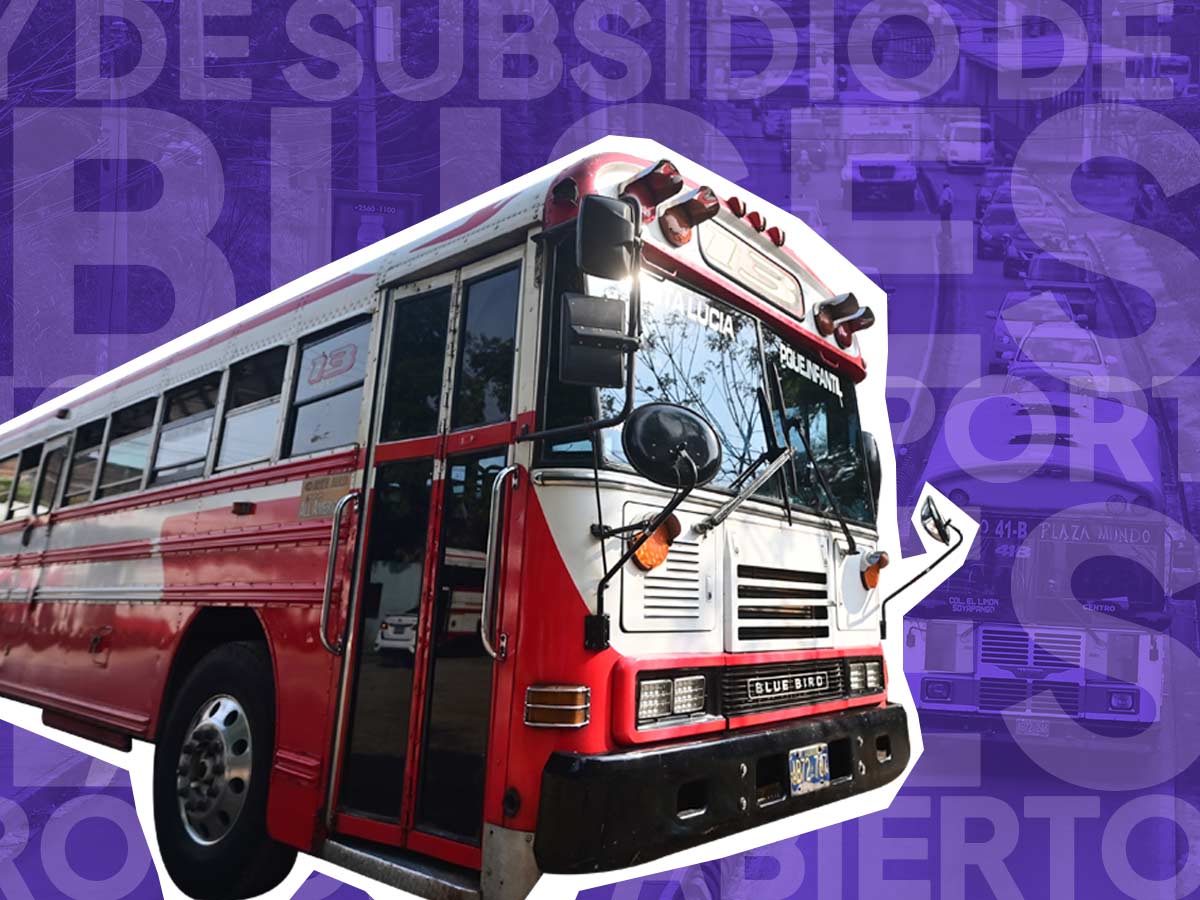 Buses transporte el salvador
