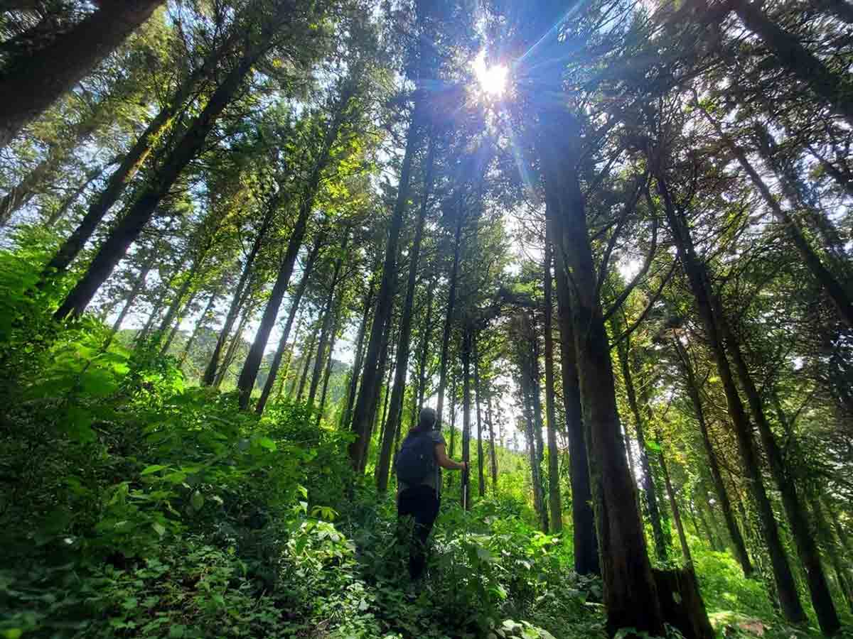 Cerro el aguila turismo el salvador