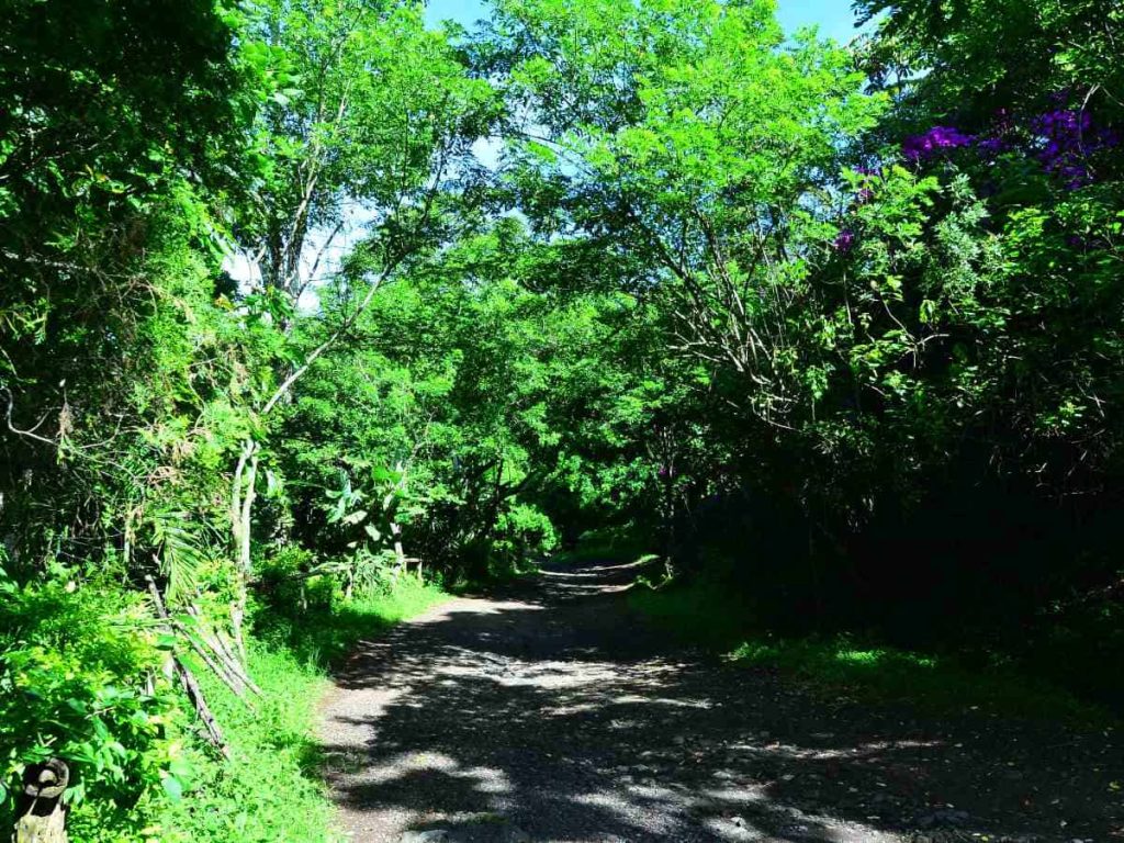 Senderos Ecoparque El Espino