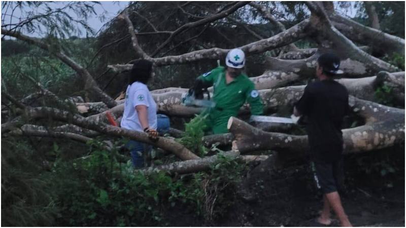 En Suchitoto, los vientos botaron una veintena de árboles obstaculizando el paso vehicular. Foto / Cruz Verde