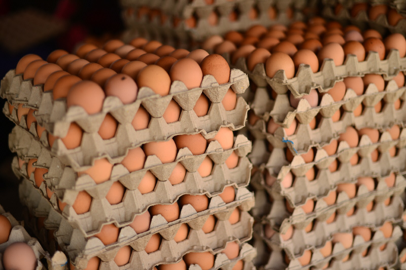 dinero-negocios-huevos-venta-canasta