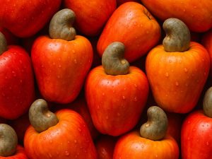 dinero-negocios-marañones-fruta-exportar