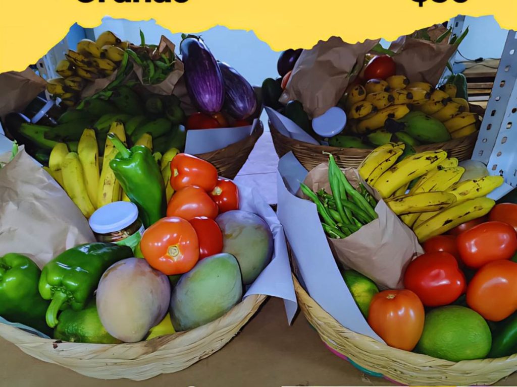 Cada canasta incluye: tomate, chile, pepino y cebolla son los más frecuentes; cuando no hay cebolla, la sustituyen con cebollín.