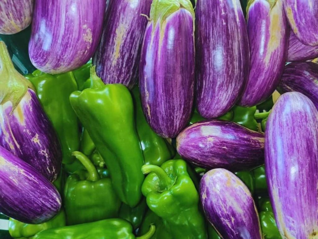 Más de 75 familias campesinas reciben ingresos constantes gracias a este modelo.