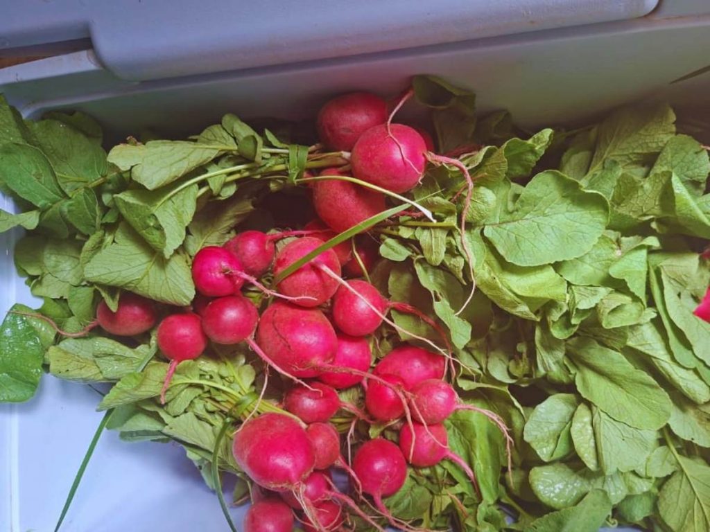 La canasta campesina es una cooperativa agroecológica impulsa la economía solidaria, cultiva alimentos sanos