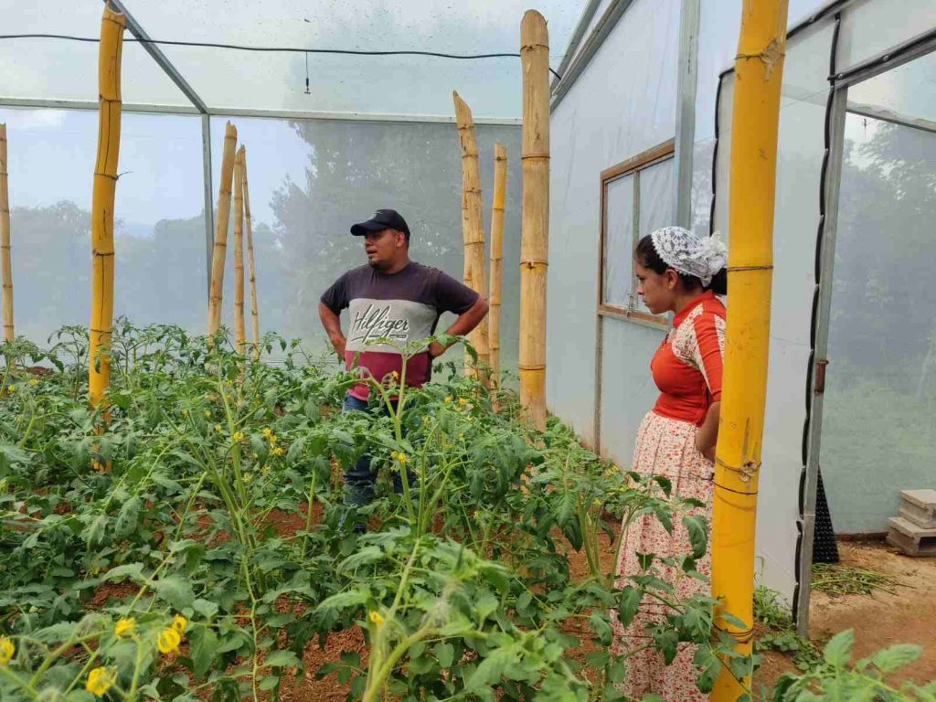 La esencia de La Canasta Campesina está en manos de las productoras