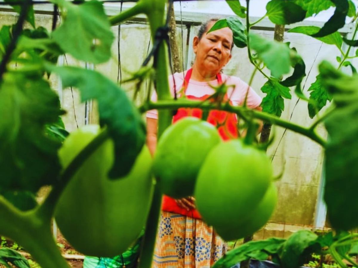 Hoy, el 80% de las personas productoras en la cooperativa son mujeres