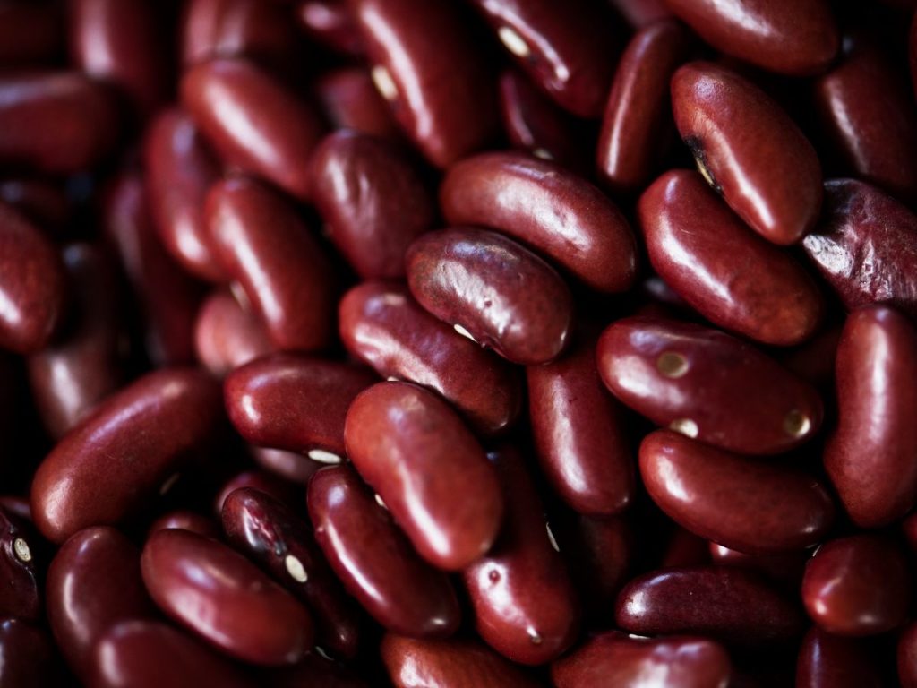 Se estima una producción nacional de 2.02 millones de quintales, con un calendario escalonado