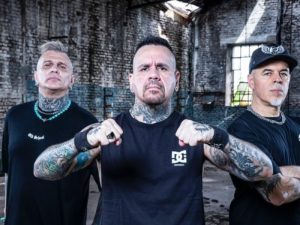 a.n.i.m.a.l en concierto