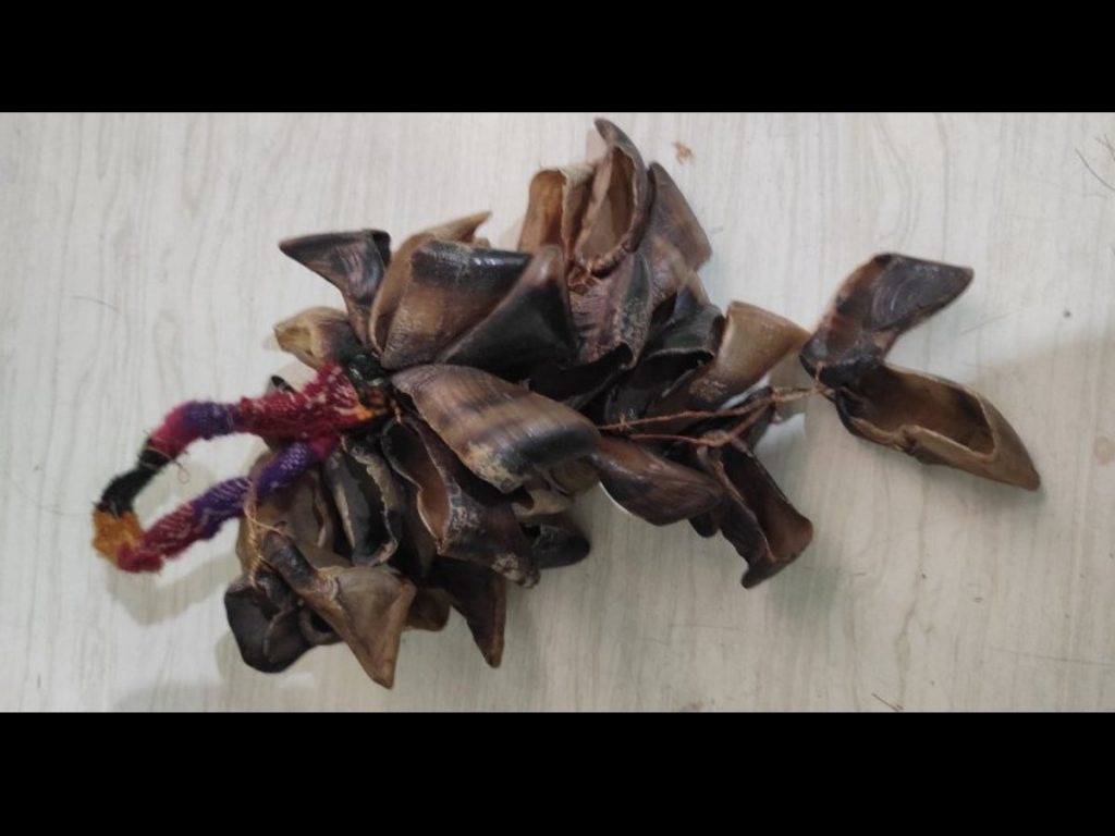 instrumentos-pezuna-de-venado