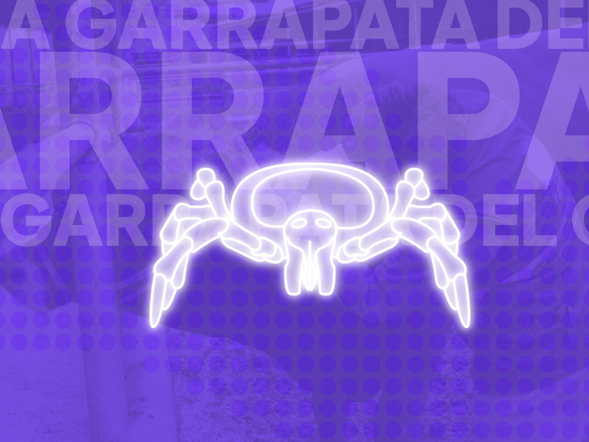 La garrapata ha generado pérdidas en el agro en Argentina.