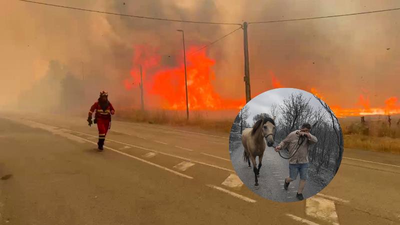 incendio forestal en España