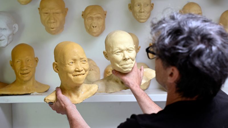 El artista holandés Alfons Kennis sostiene maquetas que representan cráneos humanos prehistóricos en su taller de Arnhem, el 3 de julio de 2025.