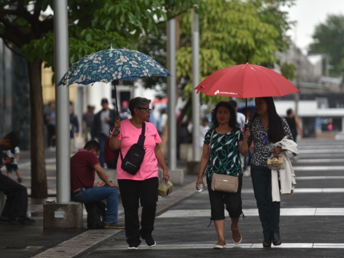 La ONU advirtió que 2025 será el segundo o tercer año más caluroso jamás registrado, tras una década de temperaturas récord