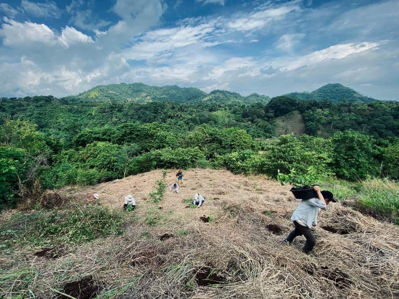 Iyulutepet animales silvestres