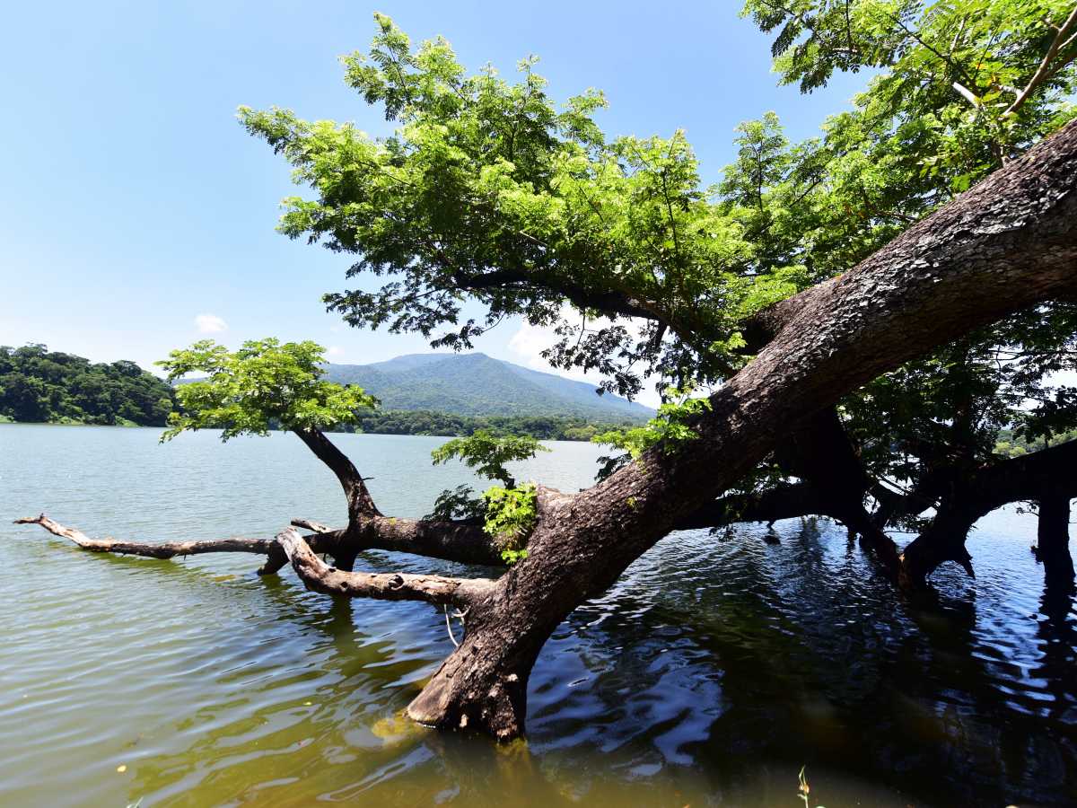 La Laguna de Chanmico ofrece un refugio natural en San Juan Opico. Fotografía/ elsalvador.com