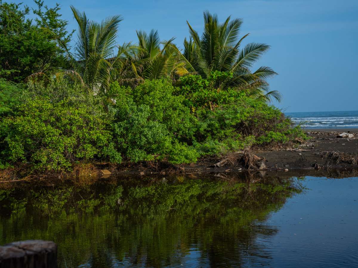 turismo-playa-el-toro-oriente-surf-elsalvador