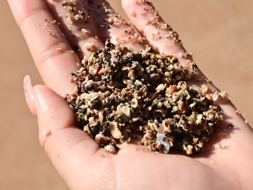 Arena dorada en las playas de El Salvador