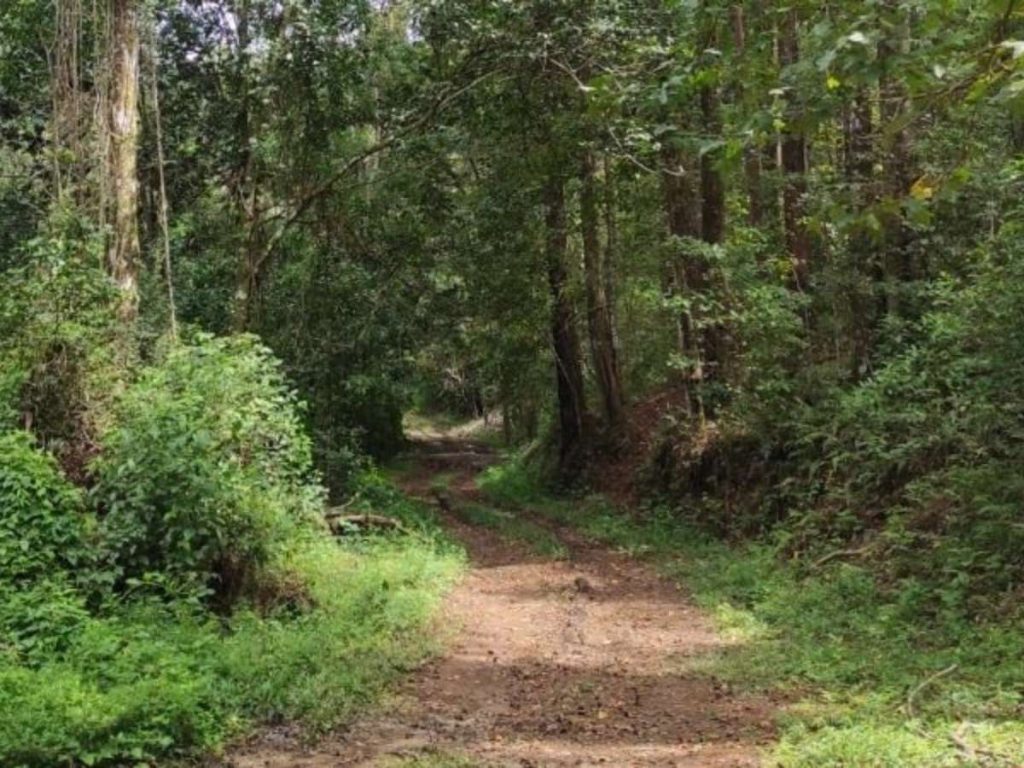 Paisaje durante recorrido de senderismo 
