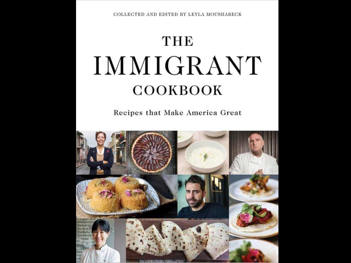 vida-alicia-maher-immigrant