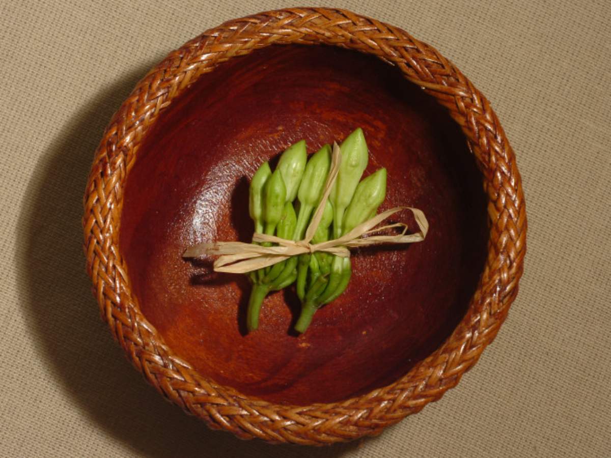 gastronomía salvadoreña loroco