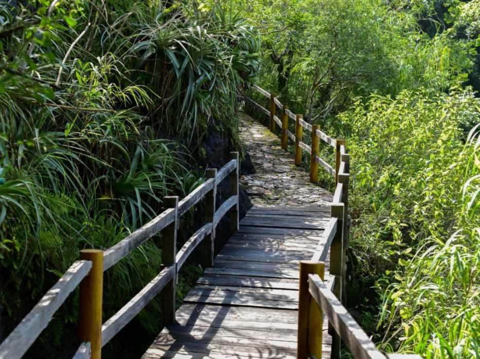 Cascadas en Arambala, Morazan