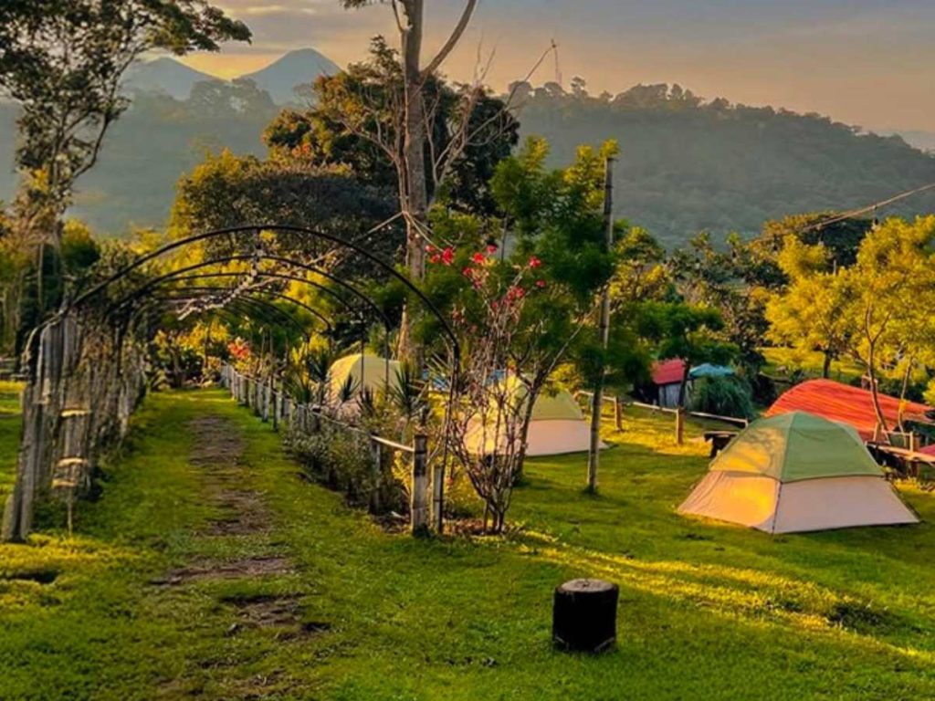 Destinos para celebrar Flores Amarillas 