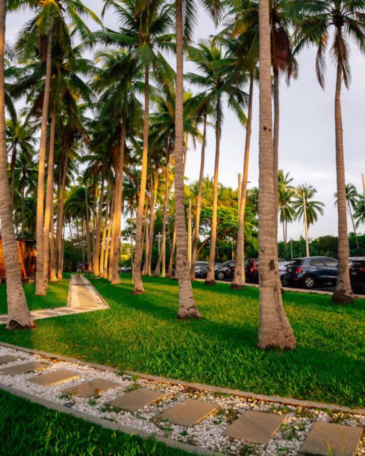 Punta Roca, en La Libertad,