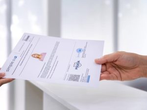 Esta guía te ayuda a obtenerlos sin contratiempos