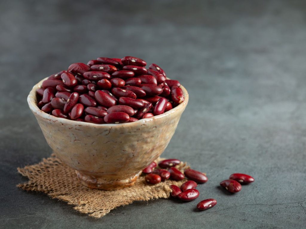 El CDA busca promover la capacitación, la mecanización y la innovación tecnológica en el agro 