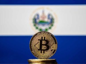 Solo 25 de los 228 proveedores de bitcóin cumplen operaciones activas en el país.