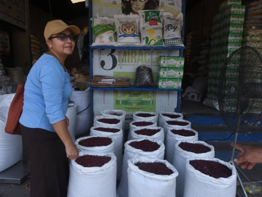 La producción de frijol será distribuida en AgroMercados y la Central de Abastos.