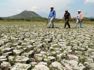 El fenómeno puede provocar inundaciones en la región y sequías en el Cono Sur de América. Foto/ archivo