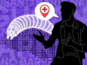 El gusano barrenador fue identificado en El Salvador en diciembre de 2024, tras el ingreso de ganado infectado.