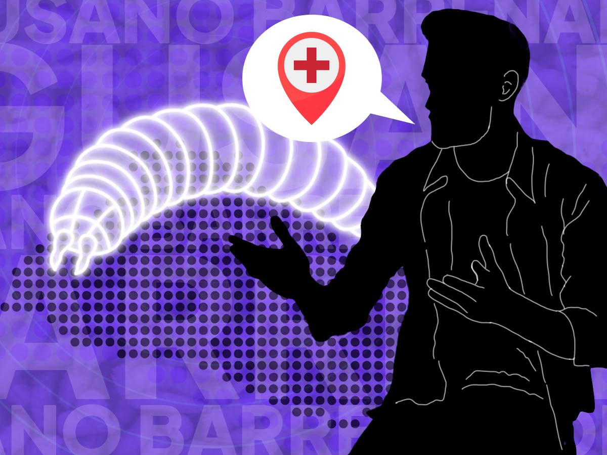 El gusano barrenador fue identificado en El Salvador en diciembre de 2024, tras el ingreso de ganado infectado.