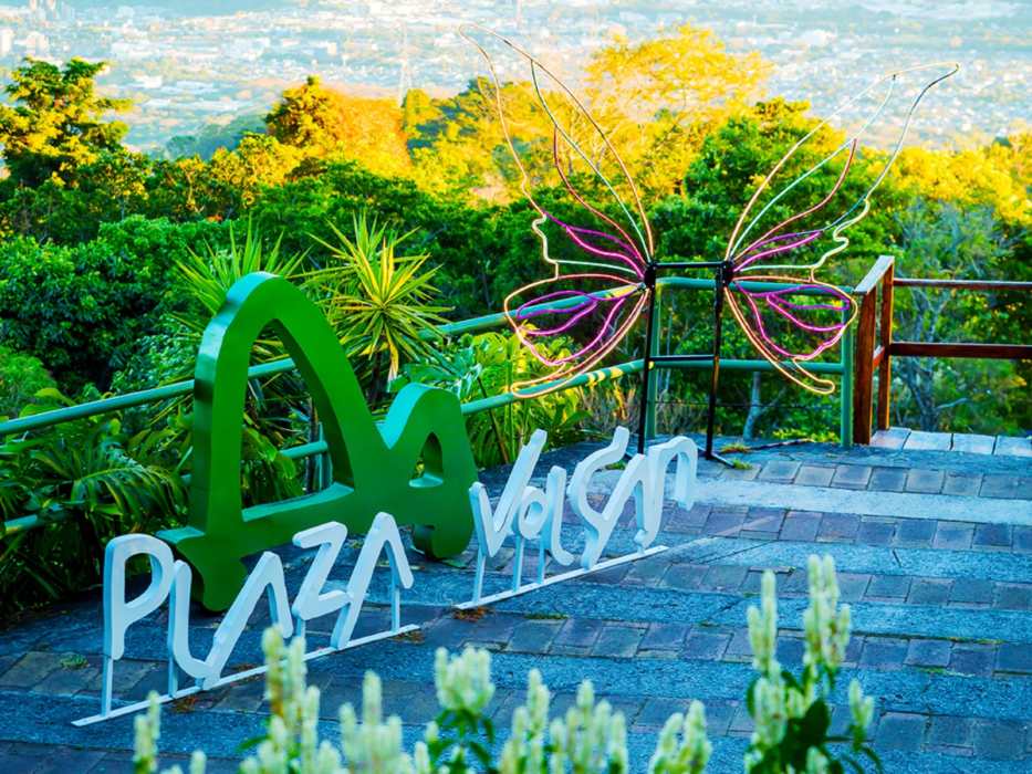 Destinos para celebrar Flores Amarillas