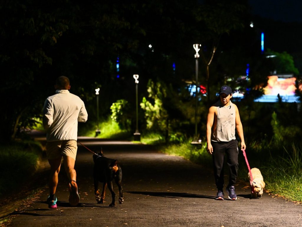 Los senderos del Parque El Principito invitan a caminar, trotar o ejercitarse al aire libre. Fotografía/ elsalvador.com
