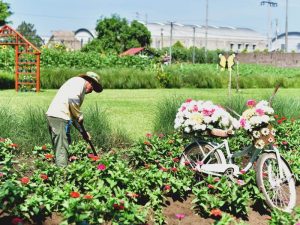 Colores que hacen de cada estación una experiencia distinta.