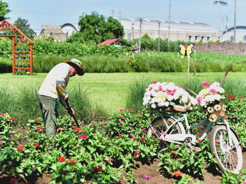 Colores que hacen de cada estación una experiencia distinta.