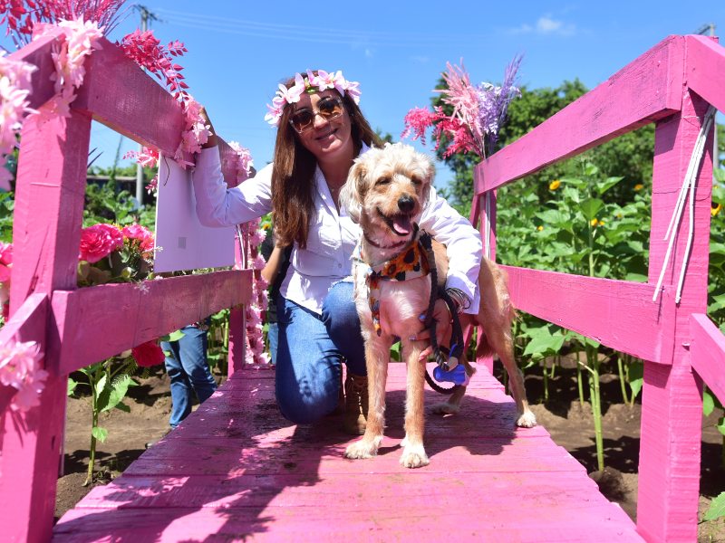 Rincones diseñados para tomarte la foto perfecta.