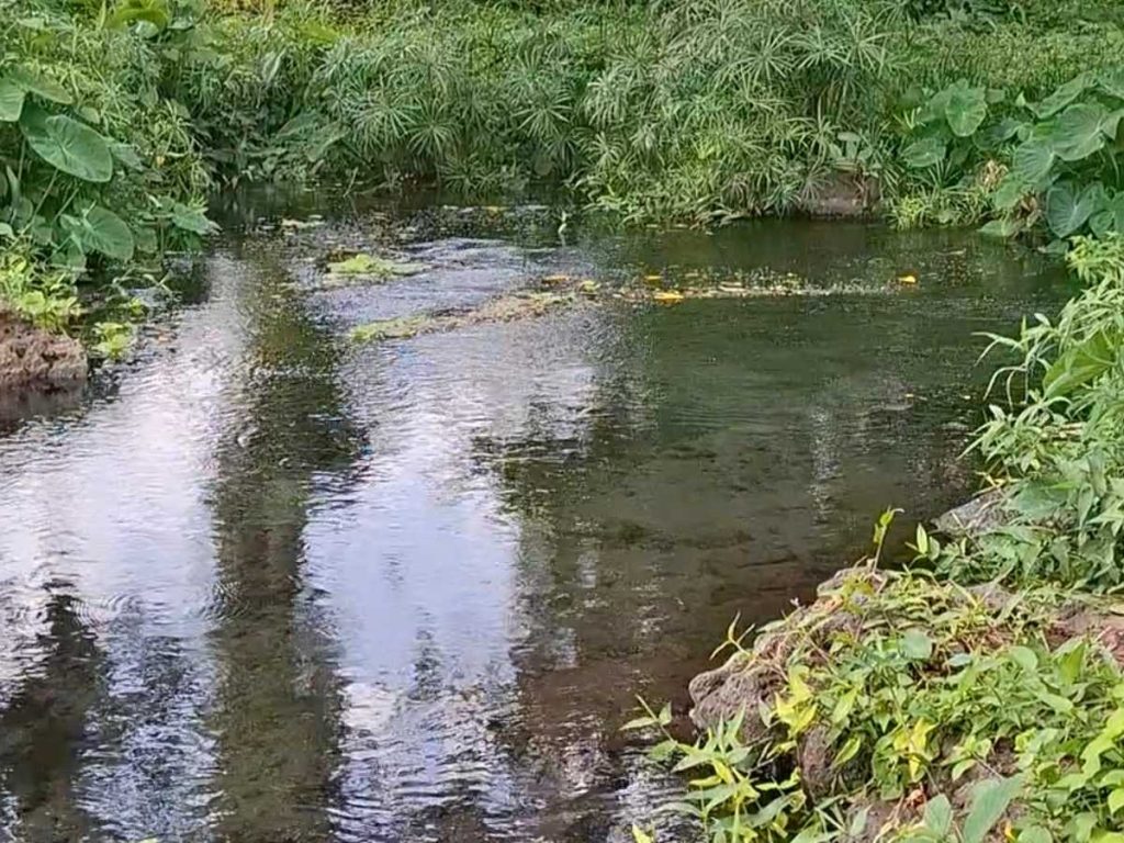 Para llegar a los ríos, se debe hacer senderismo. Foto/ elsalvador.com